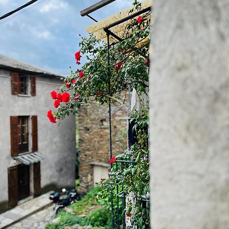 Très jolie maison aux portes du Cap Corse Sisco Esterno foto