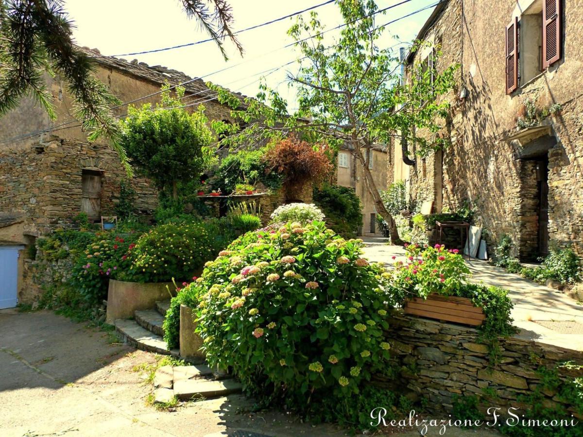 Très jolie maison aux portes du Cap Corse Sisco Esterno foto