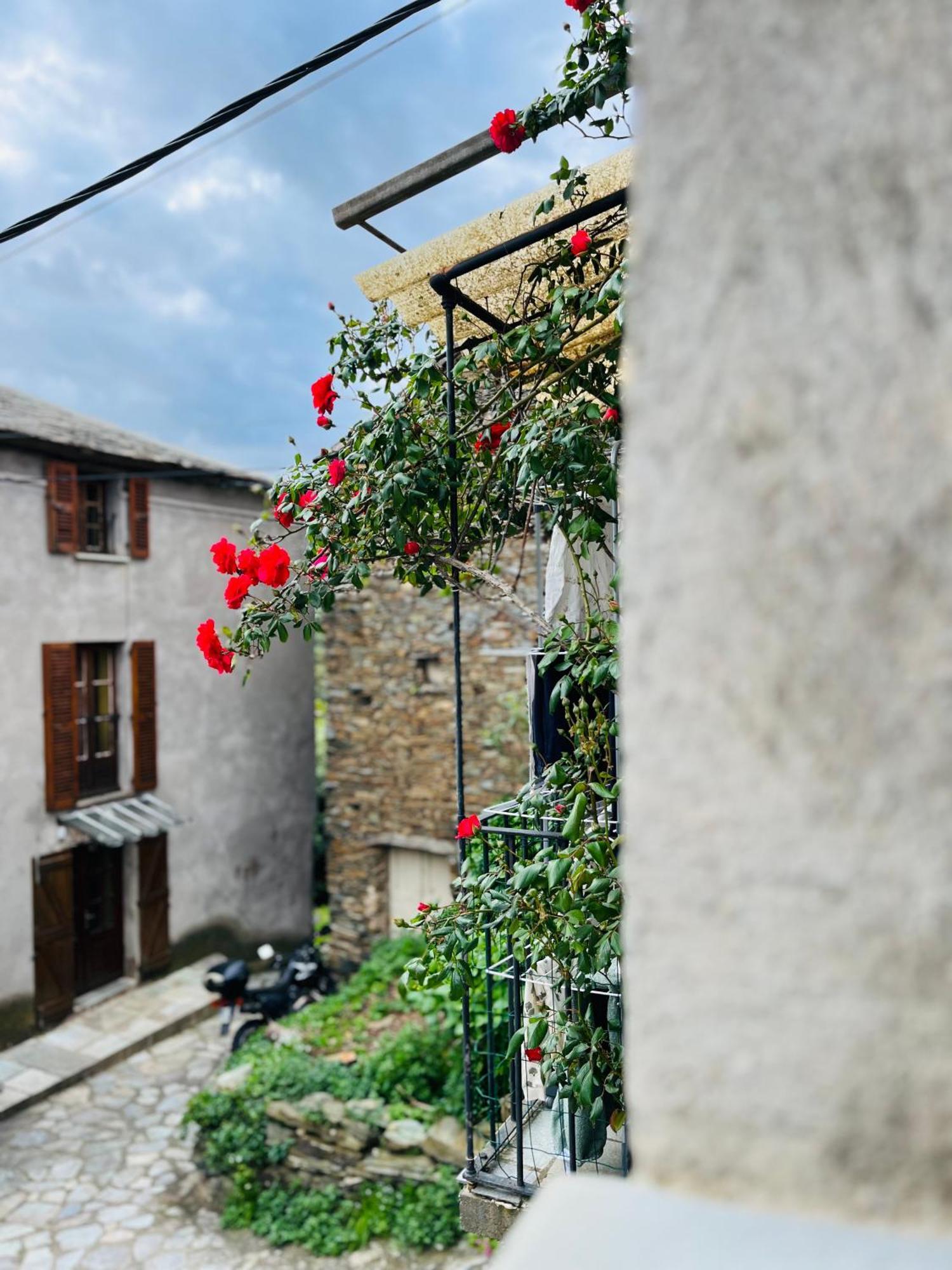Très jolie maison aux portes du Cap Corse Sisco Esterno foto